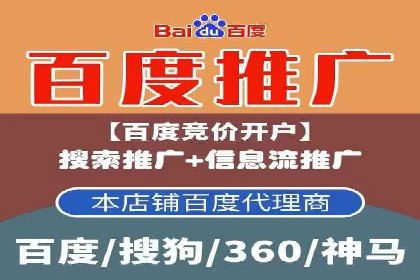 百度竞价公司成功案例：如何实现ROI最大化